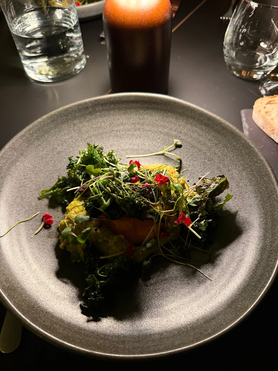 Wild mushroom broad bean hummus, grilled vegetables, Romanesco sauce with crispy kale — my straight-from-nature vegetarian dinner at Reindeer Manor